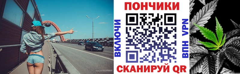 продажа наркотиков Междуреченск Бошки марихуана ГИДРОПОН